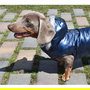 Nayeco Chaqueta con Capucha para Perros Planet Azul, Abrigo Impermeable con Borreguito Interior y Ojal Correa 35 cm