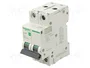 SCHNEIDER ELECTRIC Easy9 Pro MCB Interruptor magnetotérmico 2 polos 6A 6kA