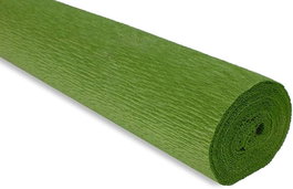 CANSON - GUARRO Paquete de 10 rollos de papel crepé verde caqui 50x250cm 32g