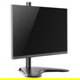 EQUIP Soporte Articulado de Sobremesa para Monitor LCD 13" - 32", Ajuste de Inclinación, Rotación y Giro, Gestión de Cables, VESA 75x75/100x100 mm, Negro