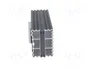 STEGO HG 140 Calentador de 75W (12-30V)
