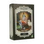 Radhe Shyam Henna Negra en Polvo 100 g