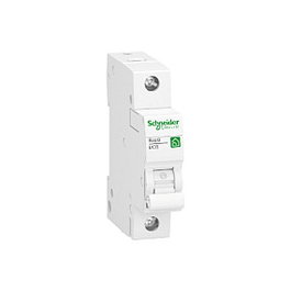 Schneider Electric Resi9 R9F23116 Disyuntor 16A 1-polig