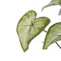 Ixia Rama Singonio Verde PVC 36 x 38 x 48 cm