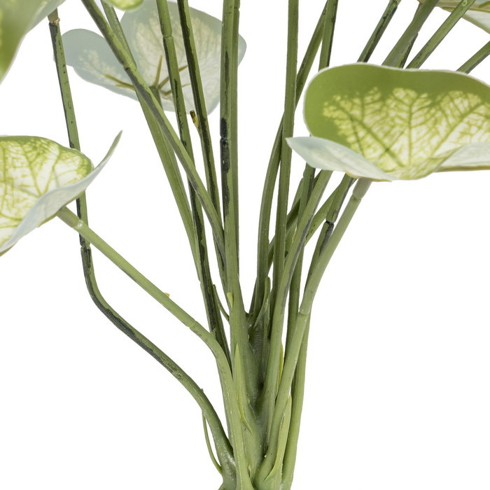Ixia Rama Singonio Verde PVC 36 x 38 x 48 cm Ixia Rama Singonio Verde PVC 36 x 38 x 48 cm