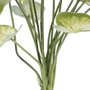 Ixia Rama Singonio Verde PVC 36 x 38 x 48 cm