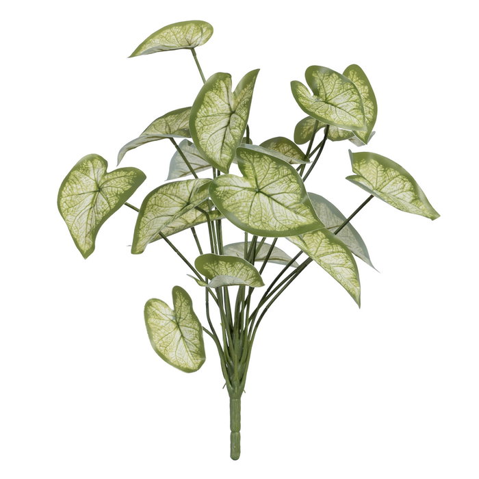 Ixia Rama Singonio Verde PVC 36 x 38 x 48 cm Ixia Rama Singonio Verde PVC 36 x 38 x 48 cm