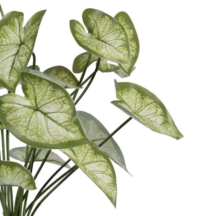 Ixia Rama Singonio Verde PVC 36 x 38 x 48 cm Ixia Rama Singonio Verde PVC 36 x 38 x 48 cm
