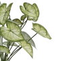 Ixia Rama Singonio Verde PVC 36 x 38 x 48 cm