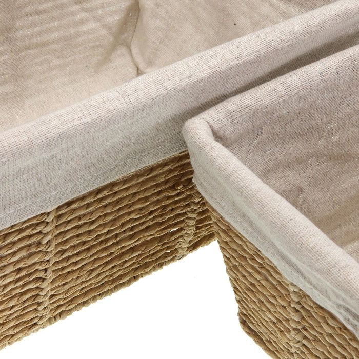 Versa Set de 2 Cestas Zenit sin Tapa Marrón de Alga, 22x15 cm - Organización y Decoración para el Hogar (2 Unidades)