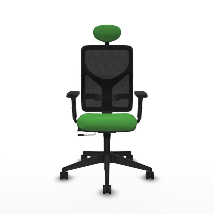 PIQUERAS Y CRESPO Silla de oficina Motilla con mecanismo Sincro/Traslack Verde y Negro PIQUERAS Y CRESPO Silla de oficina Motilla con mecanismo Sincro/Traslack Verde y Negro