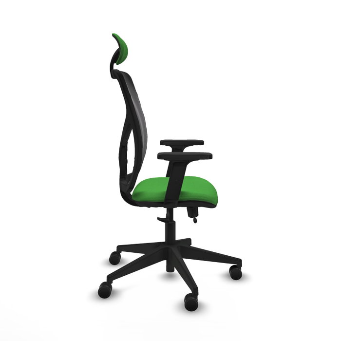 PIQUERAS Y CRESPO Silla de oficina Motilla con mecanismo Sincro/Traslack Verde y Negro PIQUERAS Y CRESPO Silla de oficina Motilla con mecanismo Sincro/Traslack Verde y Negro