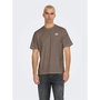 Camiseta de Manga Corta Hombre Only & Sons Onsdawson Reg Ss Vd Falcon Marrón claro