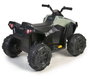 Feber Quad batería Boxer 12V