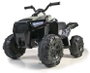 Feber Quad batería Boxer 12V
