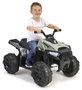 Feber Quad batería Boxer 12V