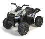Feber Quad batería Boxer 12V