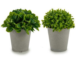 Ibergarden Maceta Gris Hojas Cortas 14x14x16 cm (Set de 24)