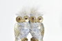 DKD Home Decor Figura de Búhos en Caja Dorado y Blanco