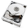 Seagate Disco Duro Interno NAS IronWolf Pro 10TB ST10000NT001 3.5" 7200 RPM