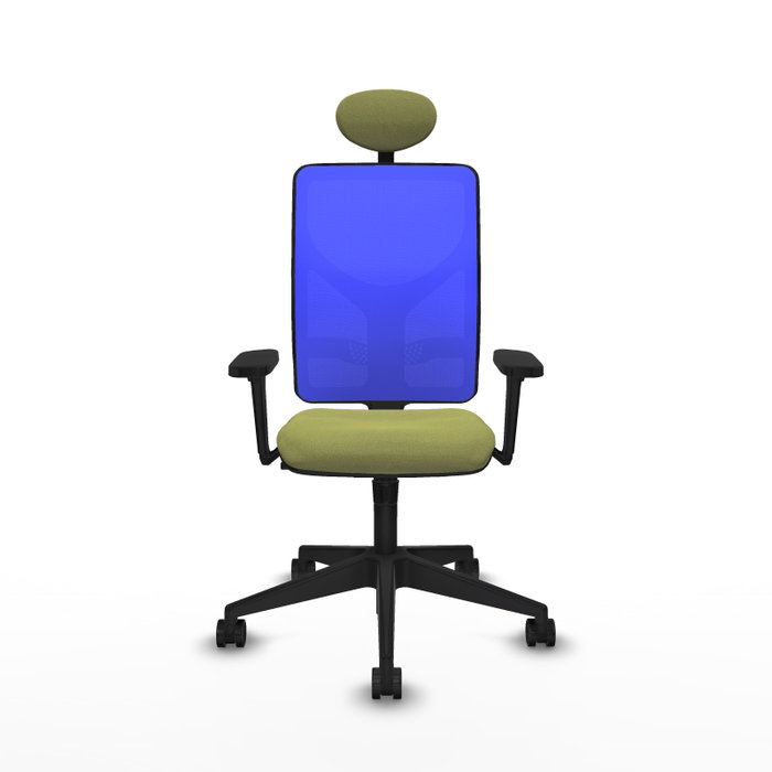 PIQUERAS Y CRESPO Silla de oficina Motilla con mecanismo Sincro, Tela Verde oliva y Malla Azul PIQUERAS Y CRESPO Silla de oficina Motilla con mecanismo Sincro, Tela Verde oliva y Malla Azul