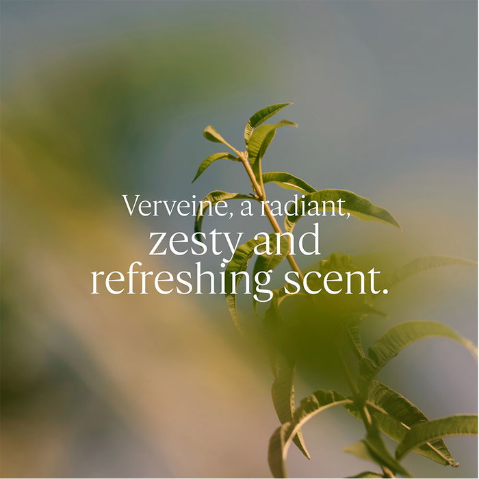 L'Occitane En Provence Estuche Verveine de 3 piezas