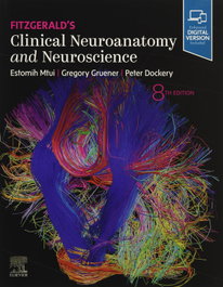 ELSEVIER UK Fitzgerald´s clinical neuroanatomy and neuroscience (8th edition)