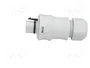 WIELAND RST 3 pines enchufe redondo macho gris 250V