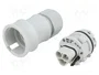 WIELAND RST 3 pines enchufe redondo macho gris 250V