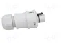 WIELAND RST 3 pines enchufe redondo macho gris 250V