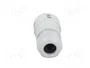 WIELAND RST 3 pines enchufe redondo macho gris 250V
