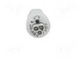 WIELAND RST 3 pines enchufe redondo macho gris 250V
