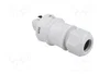 WIELAND RST 3 pines enchufe redondo macho gris 250V