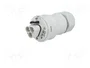 WIELAND RST 3 pines enchufe redondo macho gris 250V