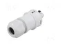 WIELAND RST 3 pines enchufe redondo macho gris 250V