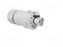 WIELAND RST 3 pines enchufe redondo macho gris 250V