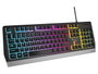 Genesis Rhod 300 RGB Teclado Cableado Qwerty Layout Polaco USB 2.0 12 Teclas Multimedia Retroiluminación RGB