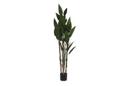 DKD Home Decor Planta Ave de Paraíso Verde y Naranja 90x90x200 cm