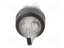 ABB Interruptor rotativo M2S transparente de 2 posiciones