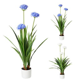 Basics Agapanto Artificial con Maceta de Plástico, Planta Decorativa, 70 x 120 cm, Colores Surtidos