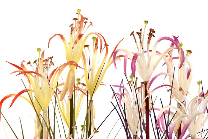 DKD Home Decor Planta Lirio Araña Naranja Burdeos 25 x 88 x 25 cm (2 Unidades)