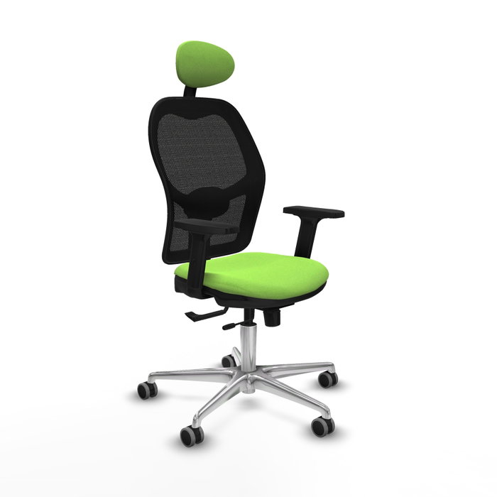PIQUERAS Y CRESPO Silla de oficina Jorquera con mecanismo Sincro/Traslack, color Pistacho y Negro PIQUERAS Y CRESPO Silla de oficina Jorquera con mecanismo Sincro/Traslack, color Pistacho y Negro
