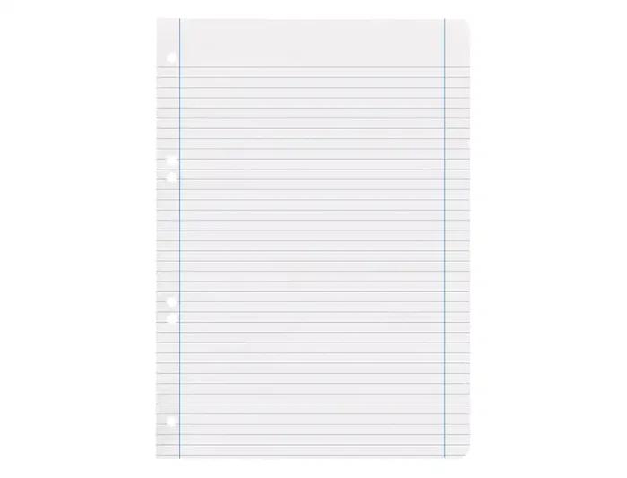 Liderpapel Recambio DIN A5 100 hojas 75 gr horizontal con margen y 6 taladros Liderpapel Recambio DIN A5 100 hojas 75 gr horizontal con margen y 6 taladros