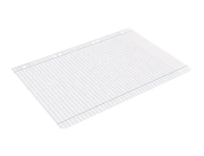 Liderpapel Recambio DIN A5 100 hojas 75 gr horizontal con margen y 6 taladros Liderpapel Recambio DIN A5 100 hojas 75 gr horizontal con margen y 6 taladros