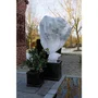 NATURE Vela de invernada - Cubierta de invierno de polipropileno 30 g/m² - 2 x 5 m - Blanco