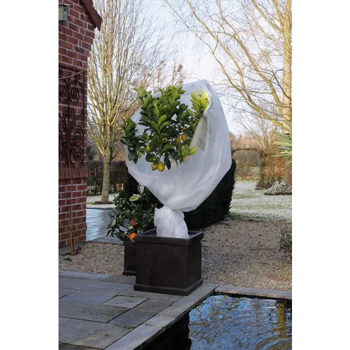 NATURE Vela de invernada - Cubierta de invierno de polipropileno 30 g/m² - 2 x 5 m - Blanco