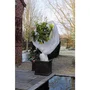 NATURE Vela de invernada - Cubierta de invierno de polipropileno 30 g/m² - 2 x 5 m - Blanco