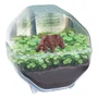 Clementoni Mini Terrario Oso CLE8005125194698 - Terrario para Plantas en Miniatura con Oso Decorativo
