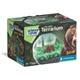 Clementoni Mini Terrario Oso CLE8005125194698 - Terrario para Plantas en Miniatura con Oso Decorativo