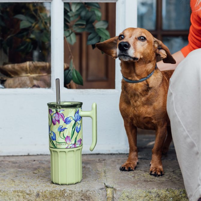 QUOKKA Taza Termo 720ml Acero Inoxidable con Base de Silicona - Umi Green Tea
